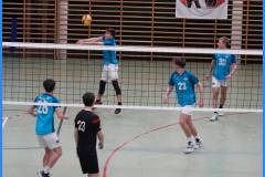 signal-2025-04-01-213509_008