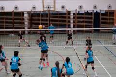 signal-2025-04-01-213719_002