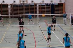 signal-2025-04-01-213719_003