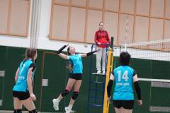 signal-2025-04-01-213719_006