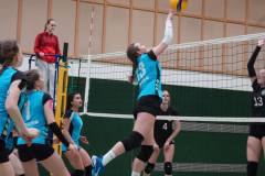 signal-2025-04-01-213719_007