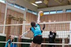 signal-2025-04-01-213719_008